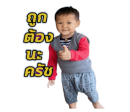 332448213