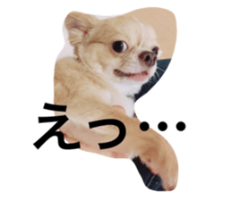 33244883