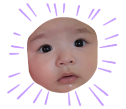 332455733