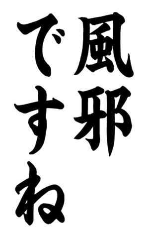 332491623