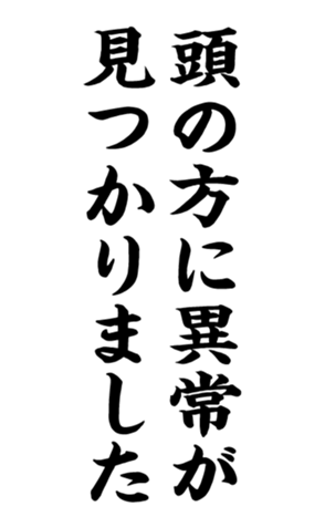 332491629