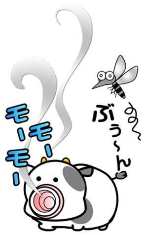 332494057