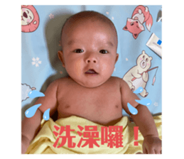 332494215