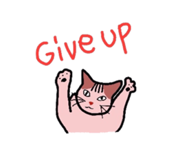 3325160