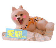 33258854