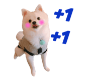 33258870