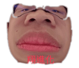 332592016