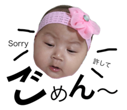 33262840