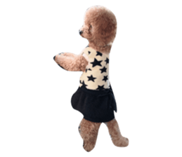33271984