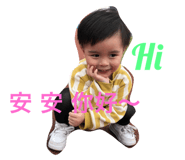 33281007