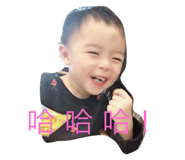 33281008