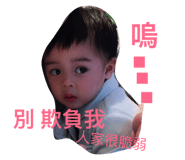 33281013