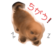 332819272
