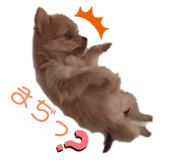 332819273