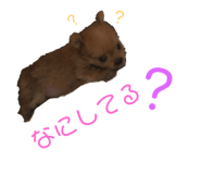 332835287