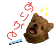332835288