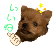 332835289