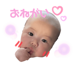 332839707