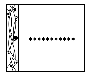 332893792