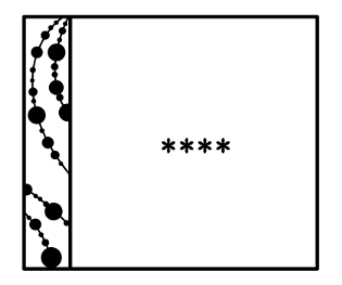 332893796