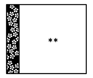 332893800