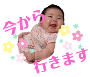 333006303