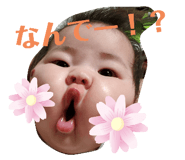 333006306