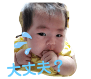 333006319
