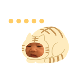 333022387