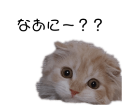333022928
