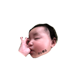333060390