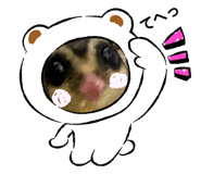 333071391