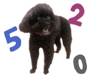 333263642