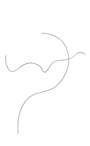 333300616