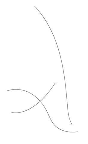 333300619