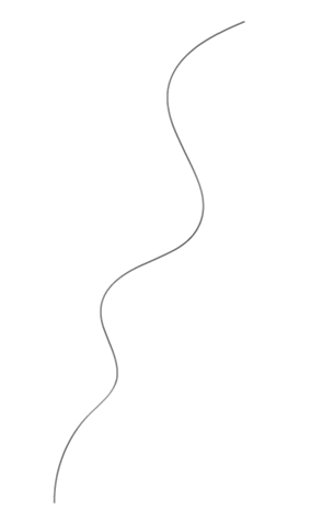 333300629