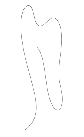 333300630