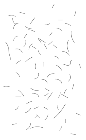 333300632