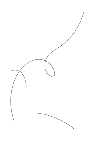 333300637