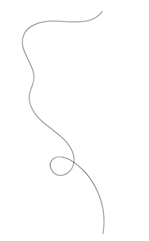 333300638