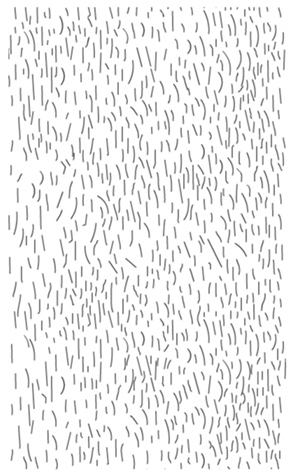 333300646