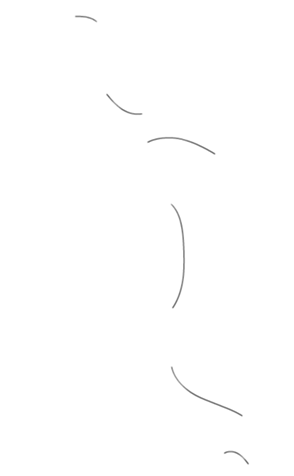 333300648
