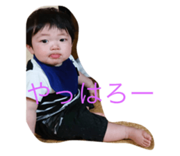 333343982