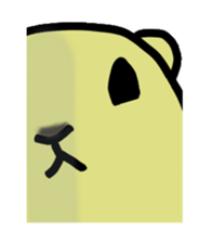 3333797