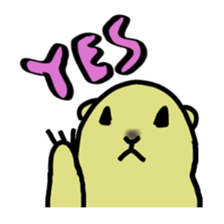 3333800