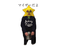 33338270