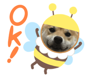 333419448