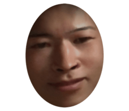 333437526