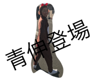 33344038