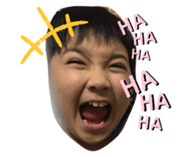 333445011